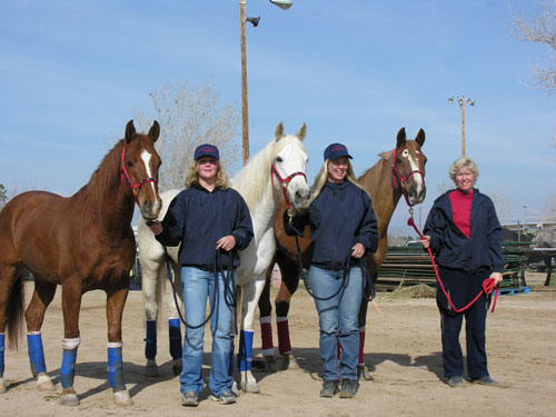 2005 20 Mule Team