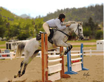 Pico Mumtaz Lisette