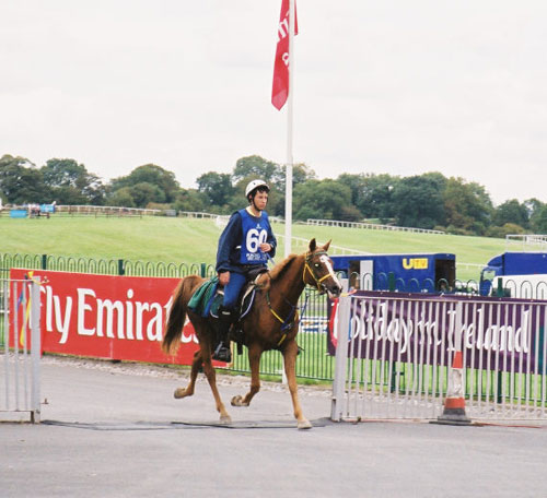 Marcio Honorio fo Brazil riding "Paris" at the European Championships 2003 