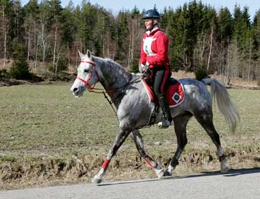 Maria Hagman Eriksson riding her gelding Picabo