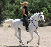 Tracy on Fabrege PJ