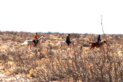 New Years In New Mexico Endurance Ride